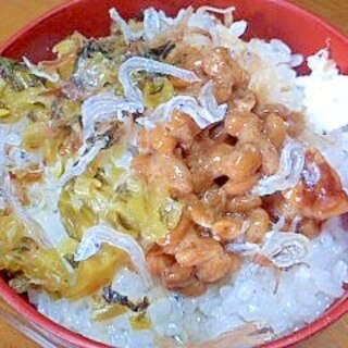 納豆と高菜とじゃこのお茶漬け